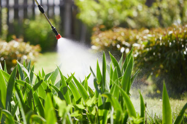Void Injection for Cockroach Colonies in Salem Lakes