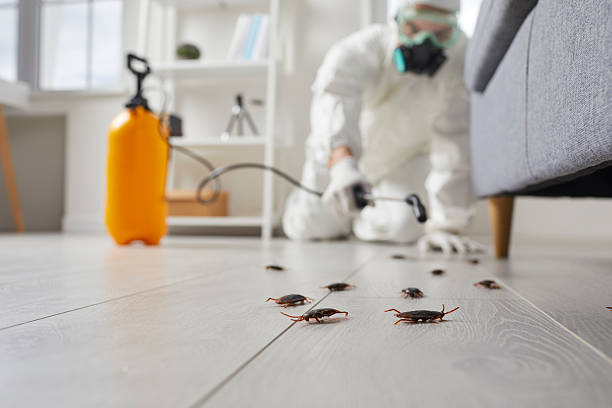 Commercial Kitchen Cockroach Control in Salem Lakes